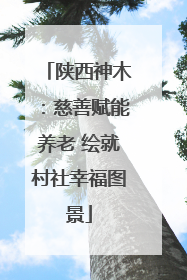 陕西神木：慈善赋能养老 绘就村社幸福图景