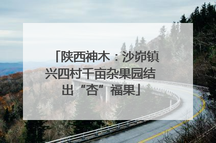 陕西神木：沙峁镇兴四村千亩杂果园结出“杏”福果