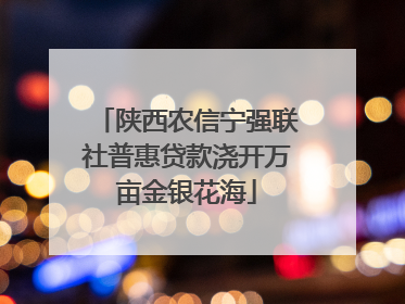 陕西农信宁强联社普惠贷款浇开万亩金银花海