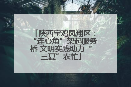 陕西宝鸡凤翔区：“连心角”架起服务桥 文明实践助力“三夏”农忙