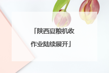 陕西夏粮机收作业陆续展开