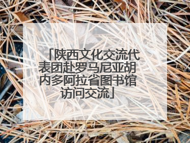 陕西文化交流代表团赴罗马尼亚胡内多阿拉省图书馆访问交流