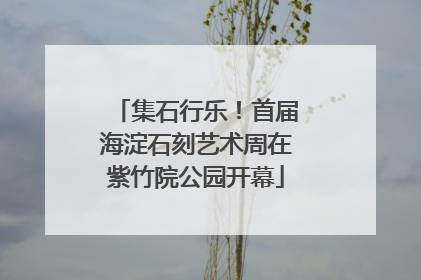 集石行乐！首届海淀石刻艺术周在紫竹院公园开幕