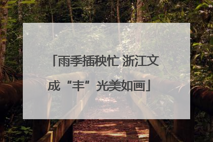 雨季插秧忙 浙江文成“丰”光美如画