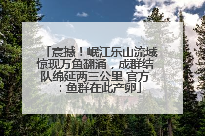 震撼！岷江乐山流域惊现万鱼翻涌，成群结队绵延两三公里 官方：鱼群在此产卵