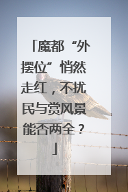 魔都“外摆位”悄然走红，不扰民与赏风景能否两全？