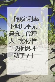 预定利率下调几乎无悬念，代理人“炒停售”为何炒不动了？