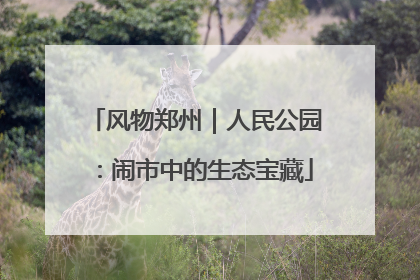 风物郑州｜人民公园：闹市中的生态宝藏