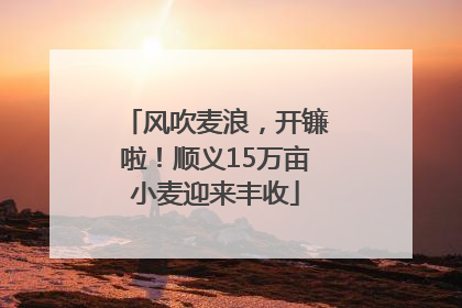 风吹麦浪，开镰啦！顺义15万亩小麦迎来丰收