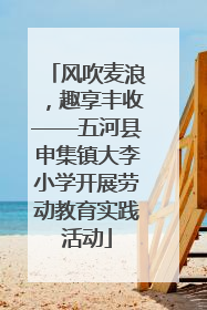 风吹麦浪，趣享丰收——五河县申集镇大李小学开展劳动教育实践活动