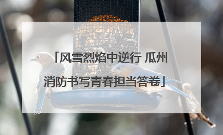 风雪烈焰中逆行 瓜州消防书写青春担当答卷
