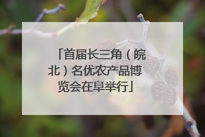 首届长三角（皖北）名优农产品博览会在阜举行
