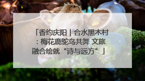 香约庆阳｜合水黑木村：梅花鹿鸵鸟共舞 文旅融合绘就“诗与远方”