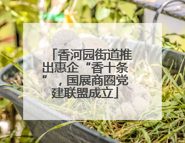 香河园街道推出惠企“香十条”，国展商圈党建联盟成立