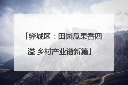 驿城区：田园瓜果香四溢 乡村产业谱新篇