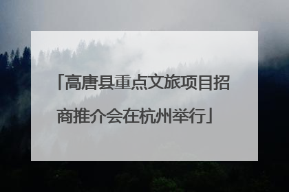 高唐县重点文旅项目招商推介会在杭州举行