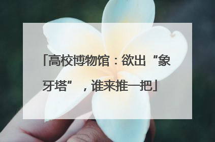 高校博物馆：欲出“象牙塔”，谁来推一把
