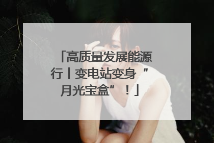高质量发展能源行丨变电站变身“月光宝盒”！