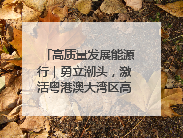 高质量发展能源行｜勇立潮头，激活粤港澳大湾区高质量发展动力源