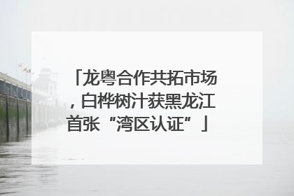 龙粤合作共拓市场，白桦树汁获黑龙江首张“湾区认证”
