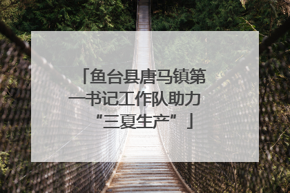 鱼台县唐马镇第一书记工作队助力“三夏生产”