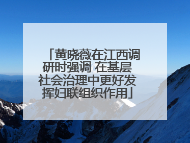 黄晓薇在江西调研时强调 在基层社会治理中更好发挥妇联组织作用