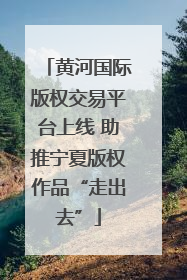 黄河国际版权交易平台上线 助推宁夏版权作品“走出去”