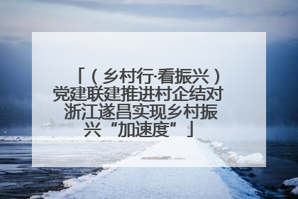 （乡村行·看振兴）党建联建推进村企结对 浙江遂昌实现乡村振兴“加速度”