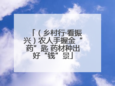 （乡村行·看振兴）农人手握金“药”匙 药材种出好“钱”景