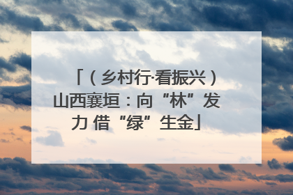 （乡村行·看振兴）山西襄垣：向“林”发力 借“绿”生金