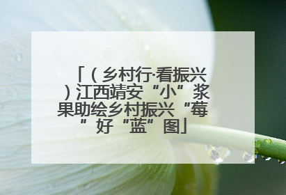 （乡村行·看振兴）江西靖安“小”浆果助绘乡村振兴“莓”好“蓝”图