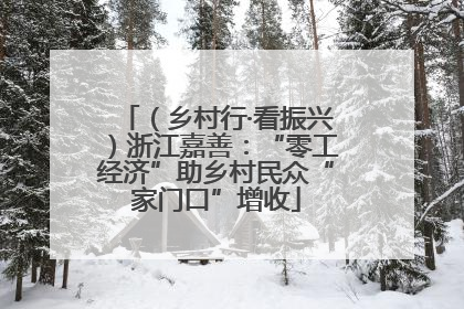 （乡村行·看振兴）浙江嘉善：“零工经济”助乡村民众“家门口”增收