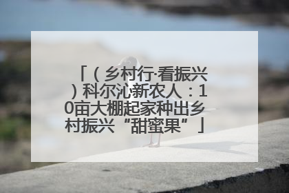 （乡村行·看振兴）科尔沁新农人：10亩大棚起家种出乡村振兴“甜蜜果”