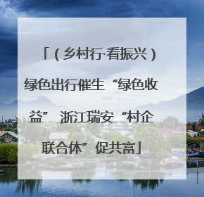 （乡村行·看振兴）绿色出行催生“绿色收益” 浙江瑞安“村企联合体”促共富