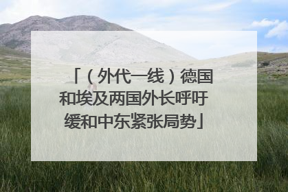 （外代一线）德国和埃及两国外长呼吁缓和中东紧张局势