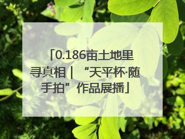 0.186亩土地里寻真相｜“天平杯·随手拍”作品展播