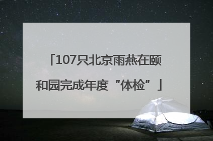 107只北京雨燕在颐和园完成年度“体检”