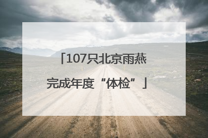 107只北京雨燕完成年度“体检”