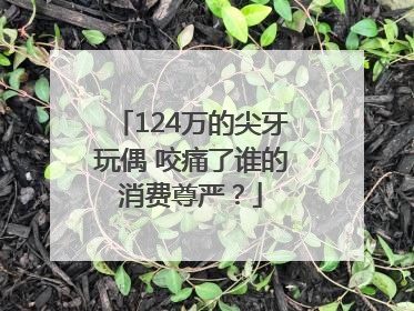 124万的尖牙玩偶 咬痛了谁的消费尊严？