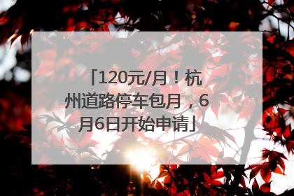 120元/月！杭州道路停车包月，6月6日开始申请