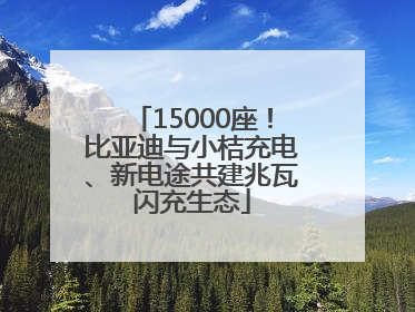 15000座！比亚迪与小桔充电、新电途共建兆瓦闪充生态