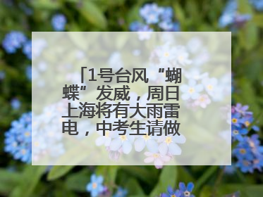 1号台风“蝴蝶”发威，周日上海将有大雨雷电，中考生请做好防范准备