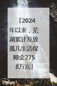 2024年以来，芜湖累计发放孤儿生活保障金2758万元