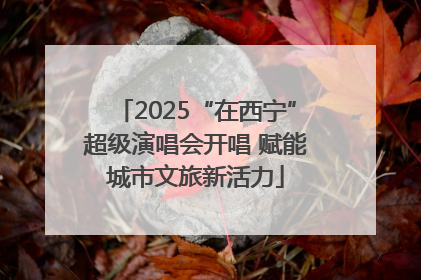 2025“在西宁”超级演唱会开唱 赋能城市文旅新活力