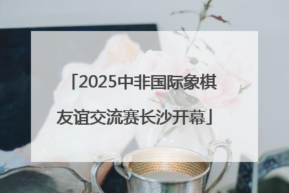 2025中非国际象棋友谊交流赛长沙开幕