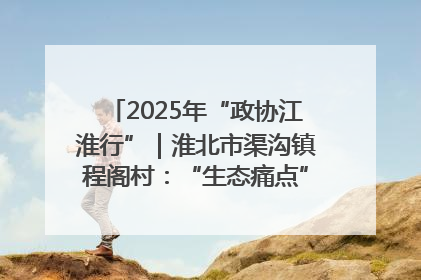 2025年“政协江淮行”｜淮北市渠沟镇程阁村：“生态痛点”变“生态景观”