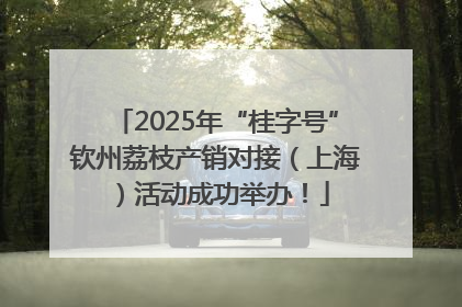 2025年“桂字号”钦州荔枝产销对接（上海）活动成功举办！