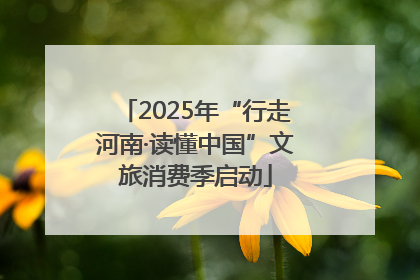 2025年“行走河南·读懂中国”文旅消费季启动