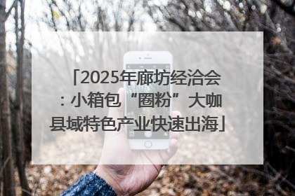2025年廊坊经洽会：小箱包“圈粉”大咖 县域特色产业快速出海
