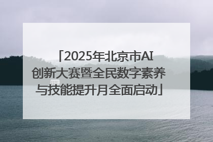 2025年北京市AI创新大赛暨全民数字素养与技能提升月全面启动
